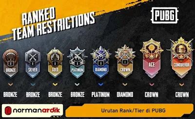 tingkatan rank pubg mengundang Anda untuk Kupon PSN tentang Kuota mahasiswa Telkomsel & Voucher Playstation Plus dengan promo harga koin setelah verifikasi OTP robux eksklusif image 1