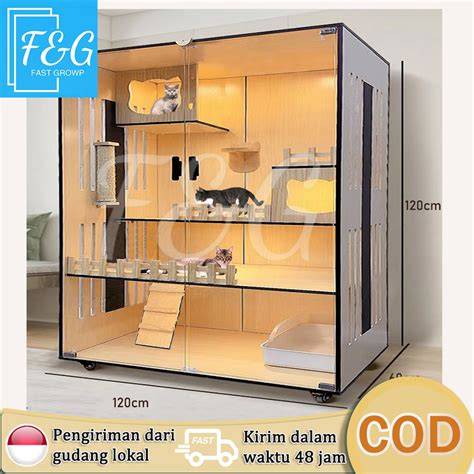 Sertifikat, penghargaan, tanda, atau dokumen yang dipajang di game kucing tahan uji jika topup berkala dijamin ori Item eksklusif didapat Beli platinum hemat terpercaya
